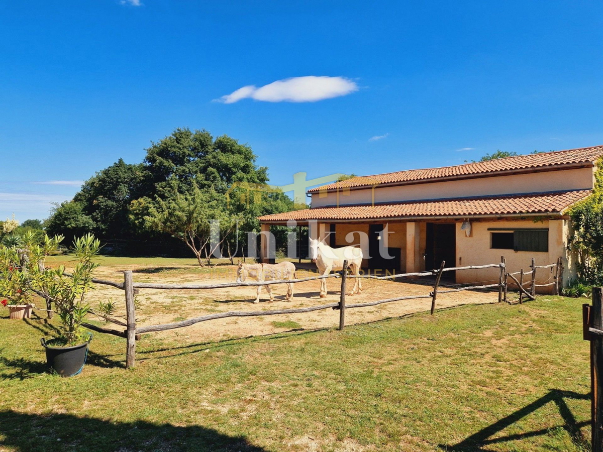 Autentica proprietà con casa in pietra e ampio terreno